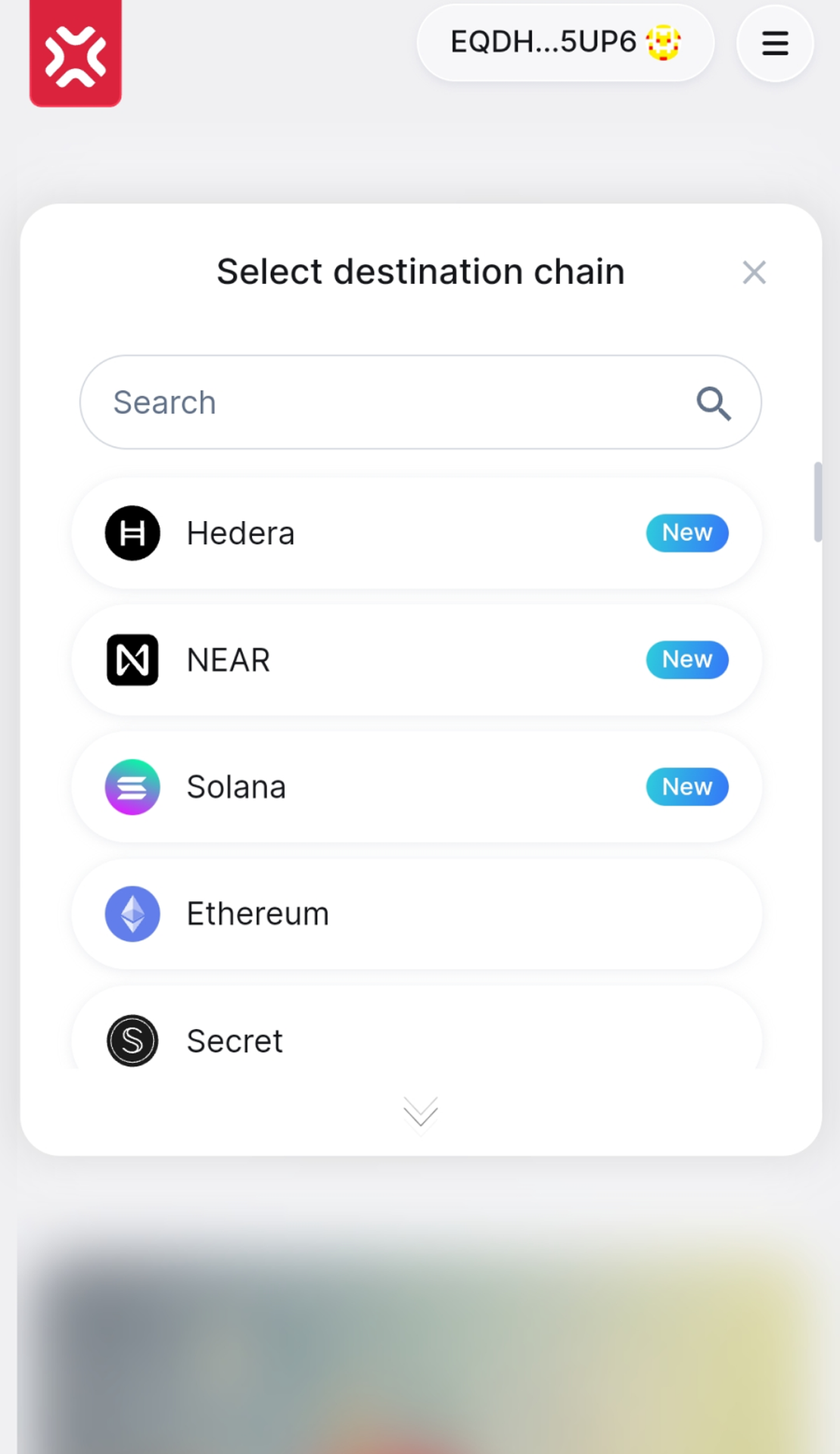 XP.NETWORK App Image