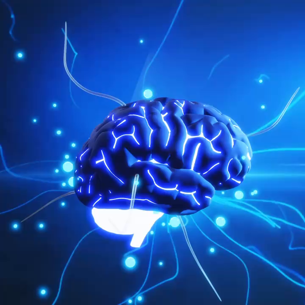 Brainstorm Alphas App Logo