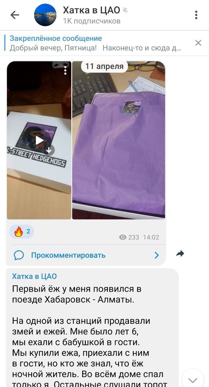 Хатка в ЦАО App Image