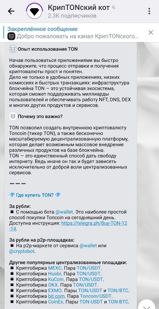 КрипTONский кот App Image