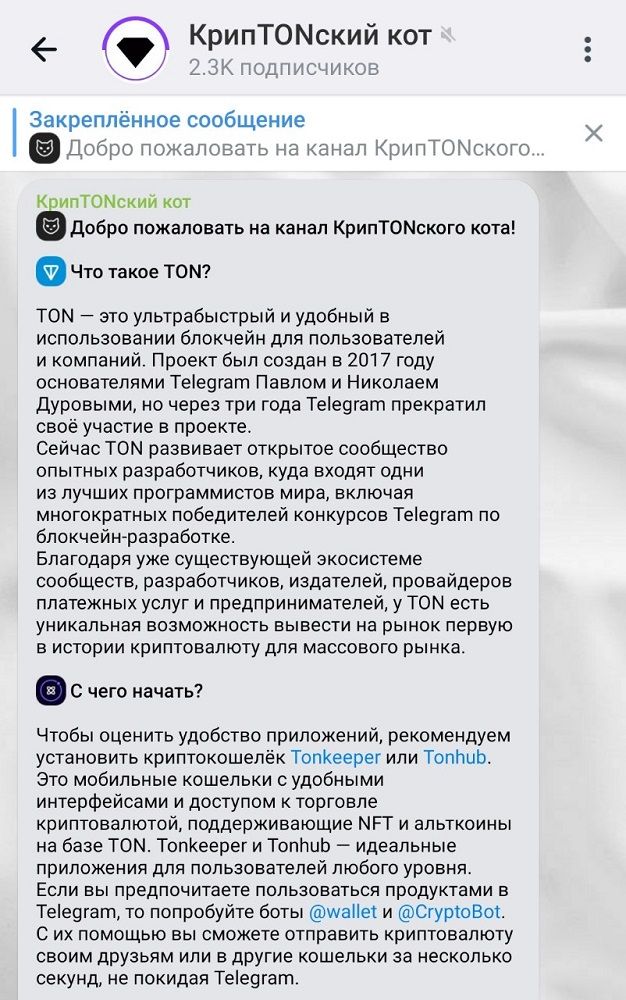 КрипTONский кот App Image