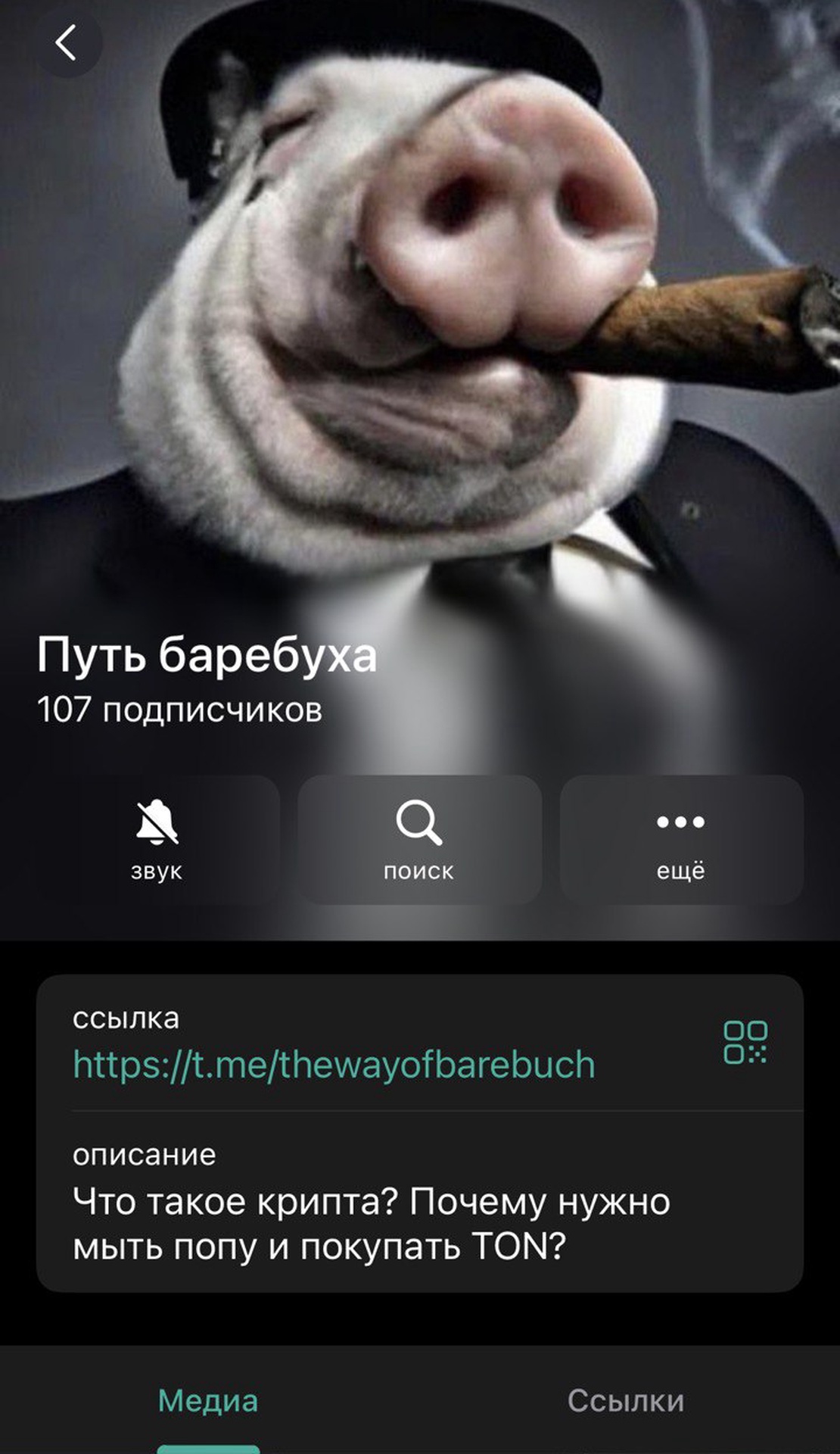 Путь баребуха App Image