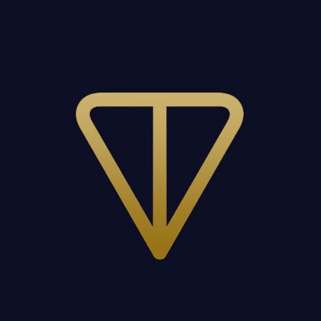 This is TON App Logo