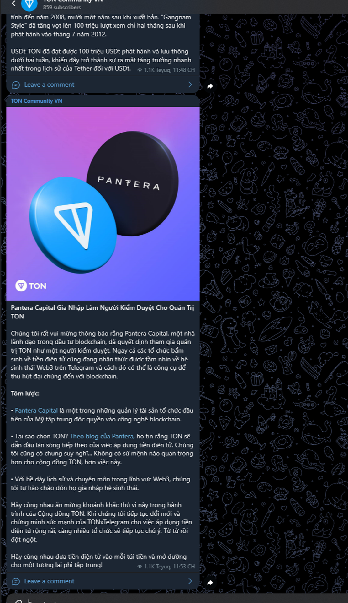 TON Community VN App Image