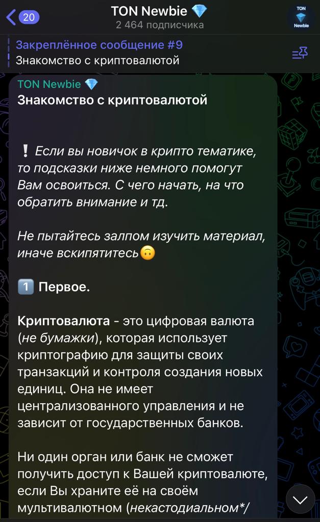 TonNewbie App Image