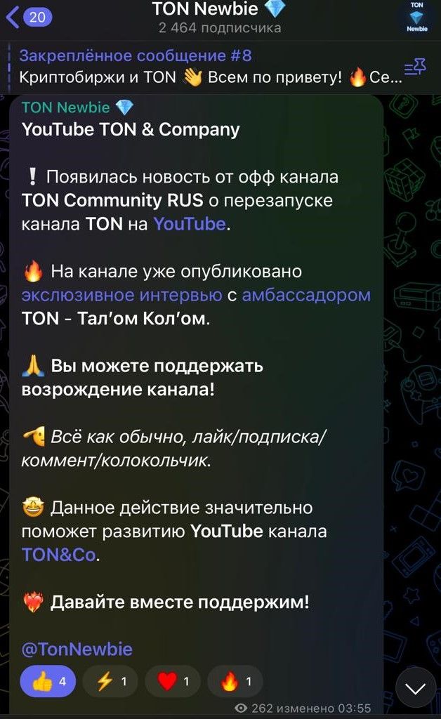 TonNewbie App Image