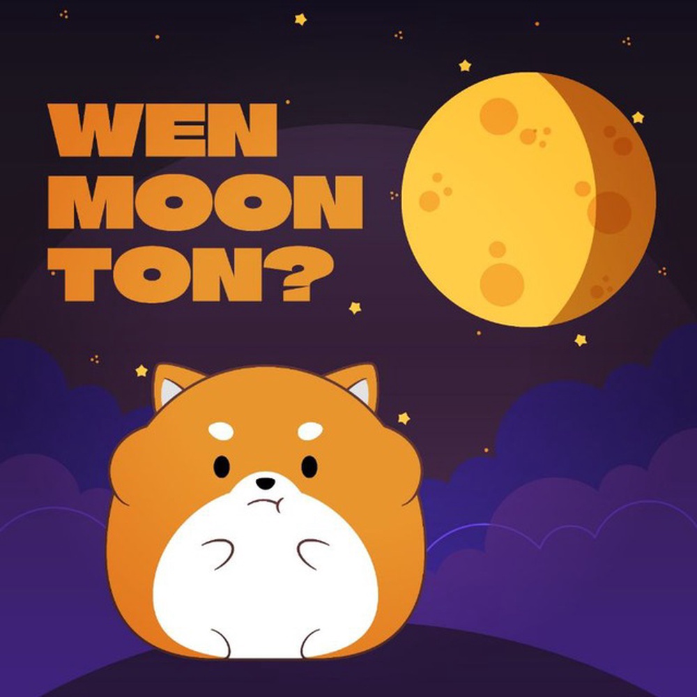 WEN MOON TON? App Logo