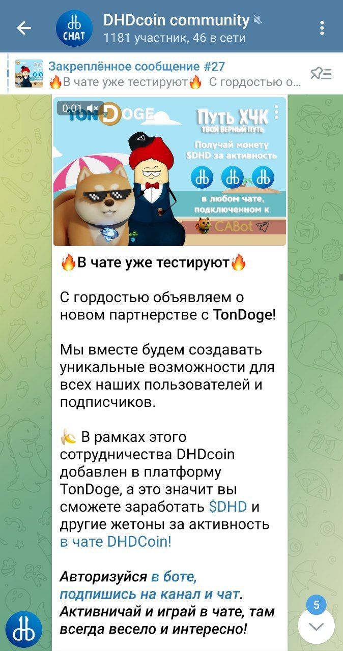 DHDcoin community App Image