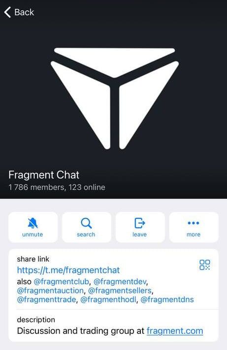 Fragment Chat App Image