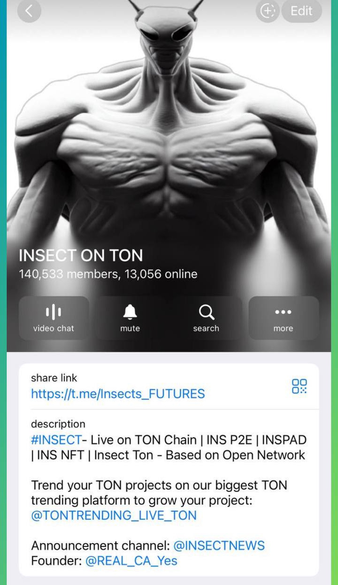 INSECT ON TON App Image