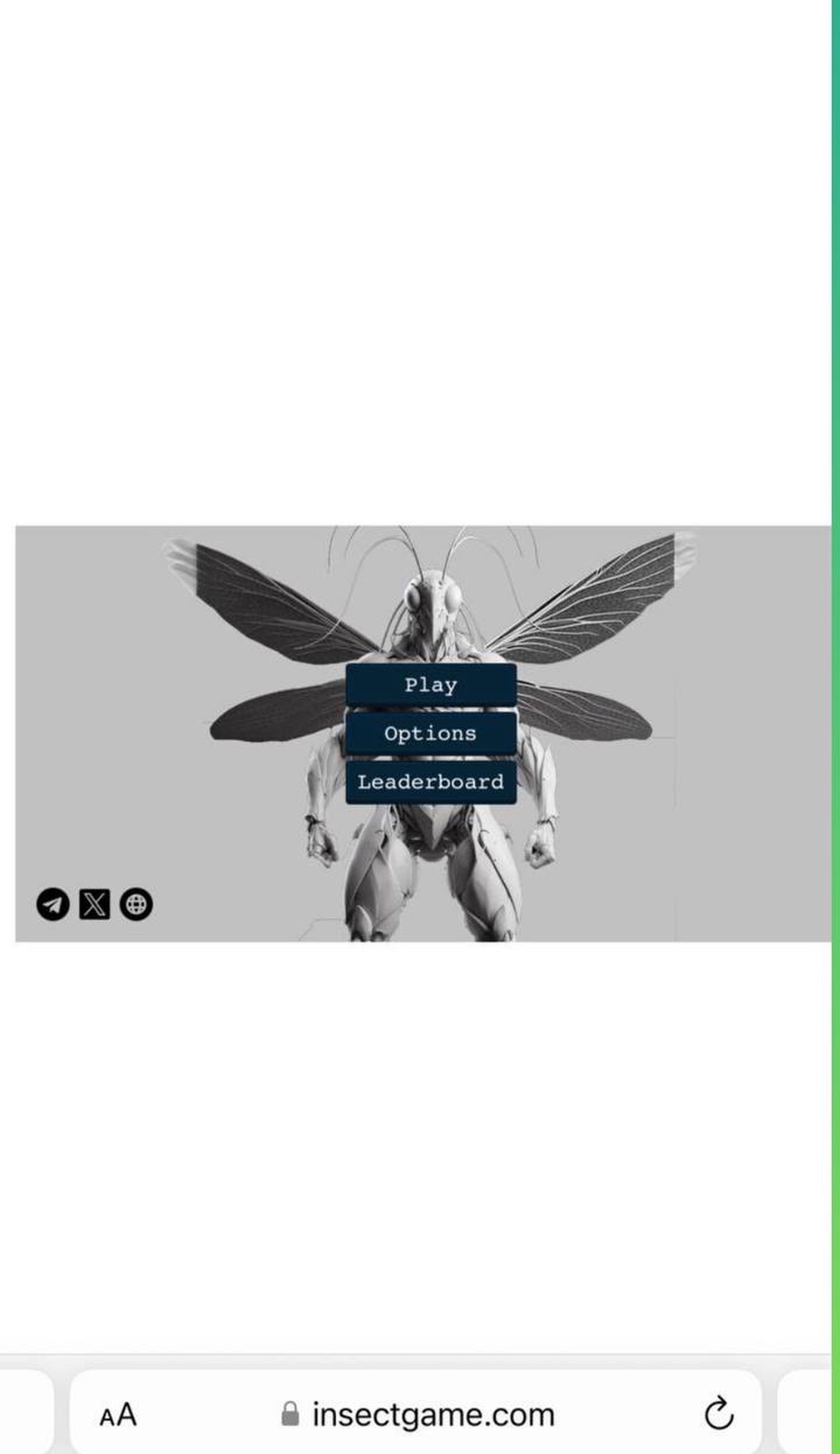 INSECT ON TON App Image