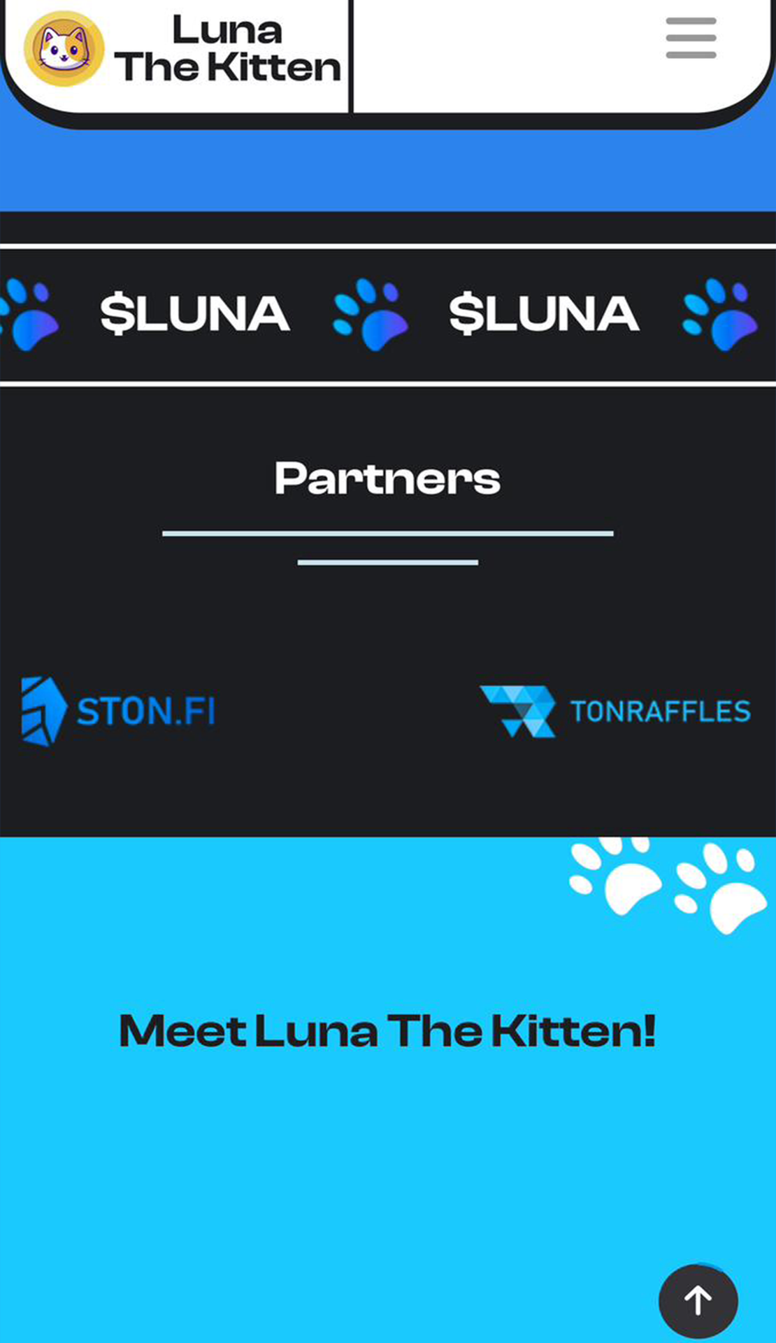 Luna The Kitten App Image