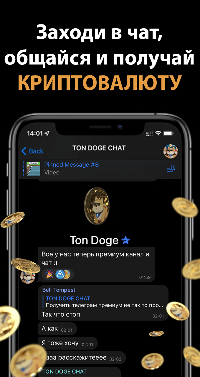 TON DOGE COIN CHAT App Image