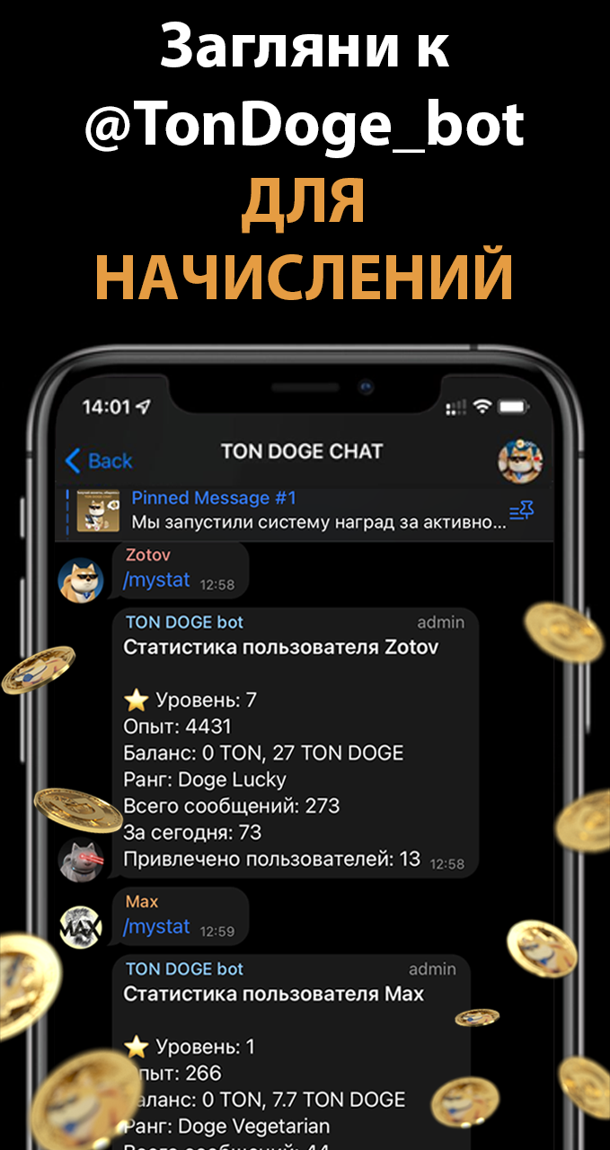 TON DOGE COIN CHAT App Image