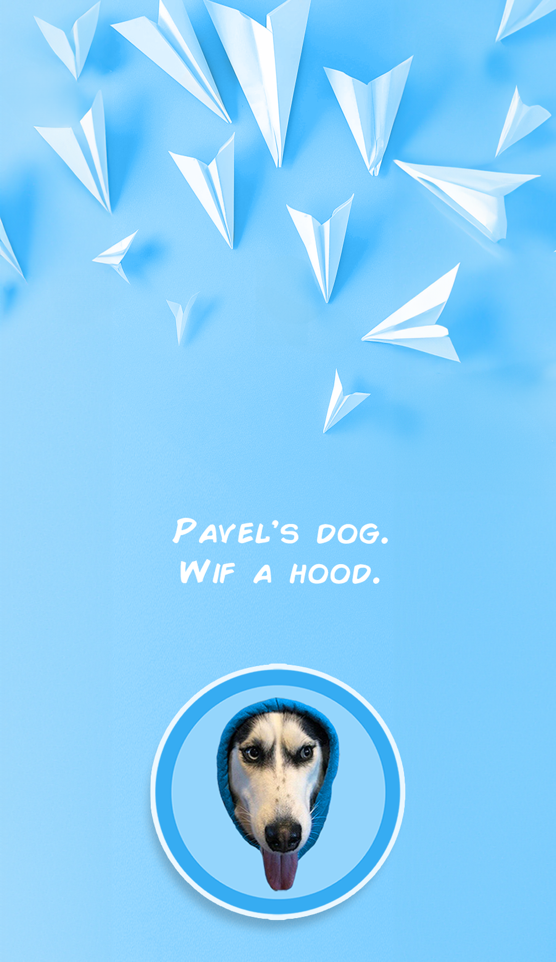 DOGWIFHOOD App Image