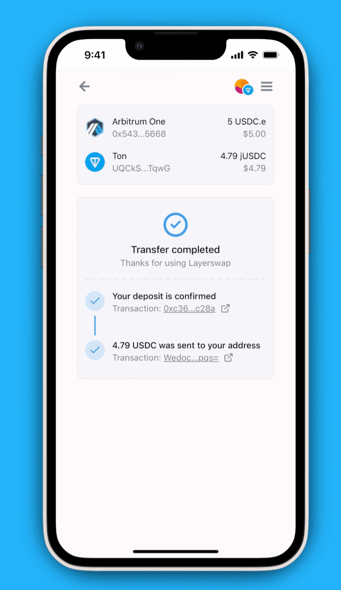 Layerswap App Image