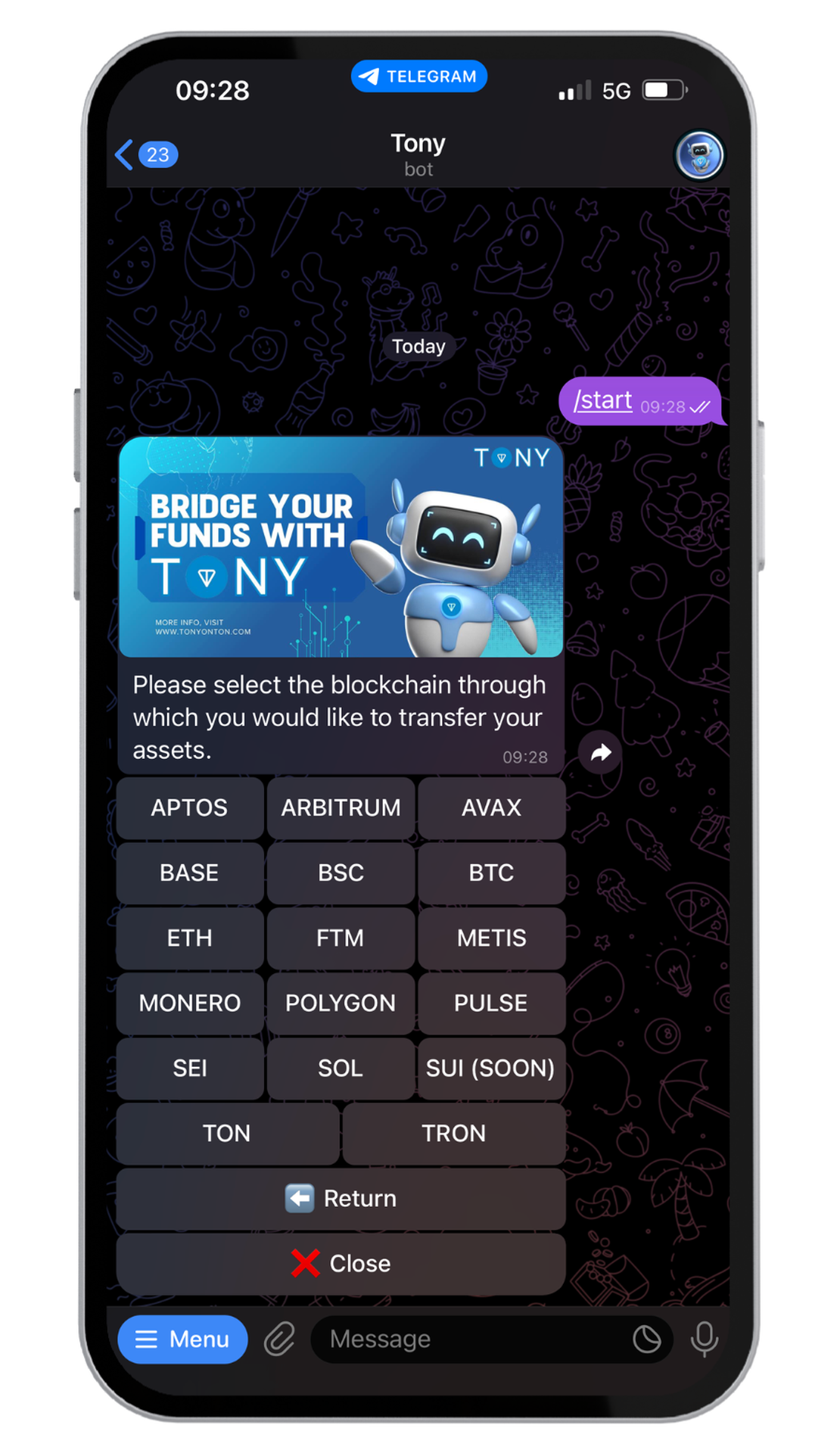 Tony Bridge App Image
