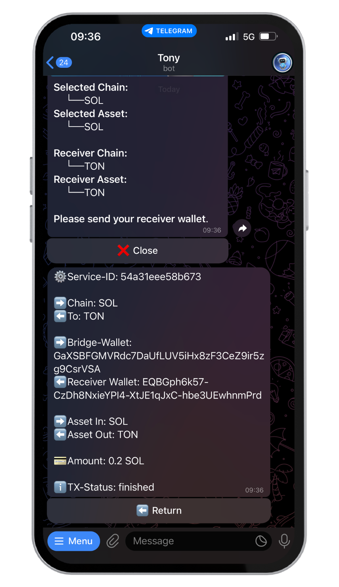 Tony Bridge App Image