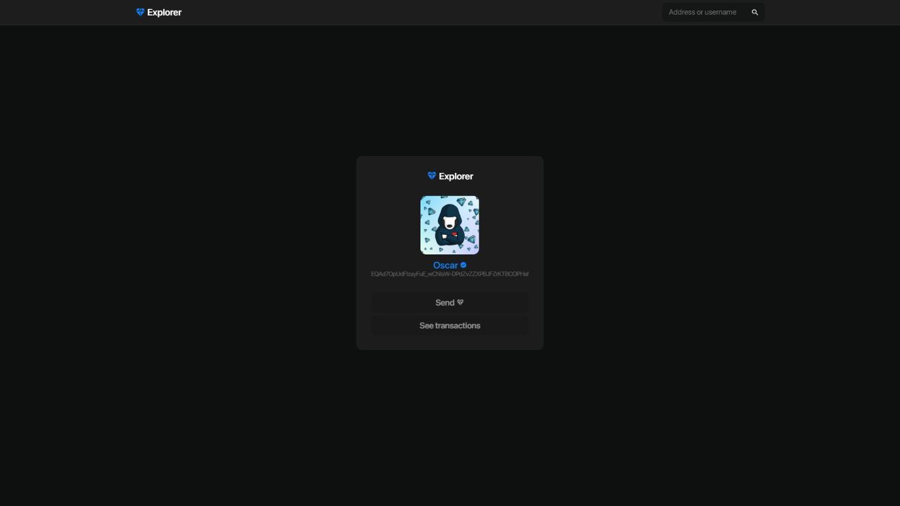 TON Explorer App Image