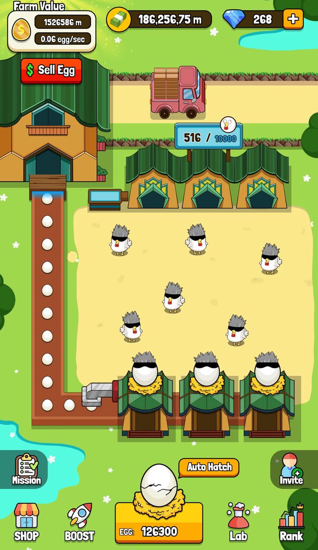 Chick Coop App Image