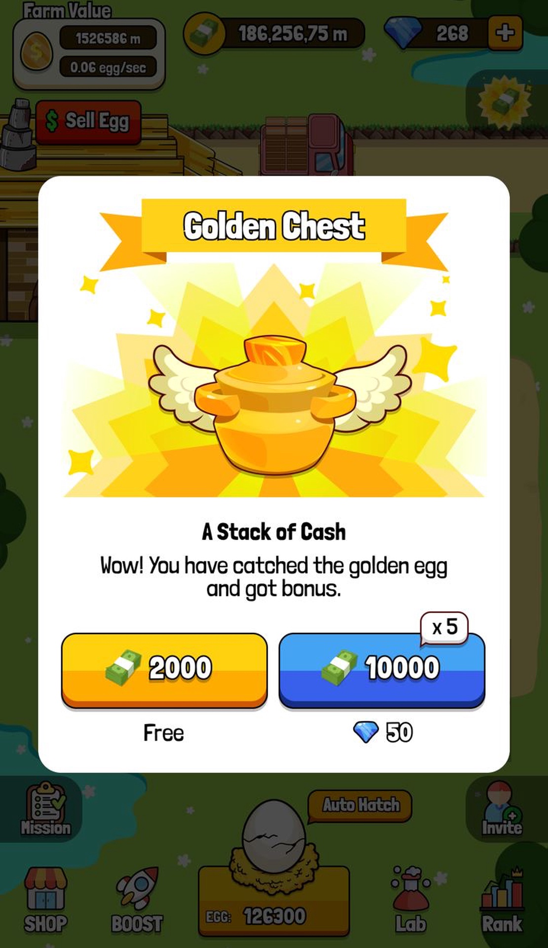Chick Coop App Image