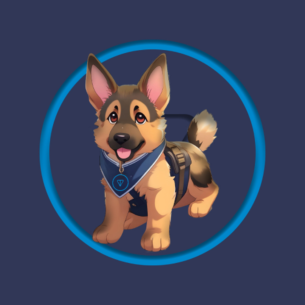 COMMANDER App Logo