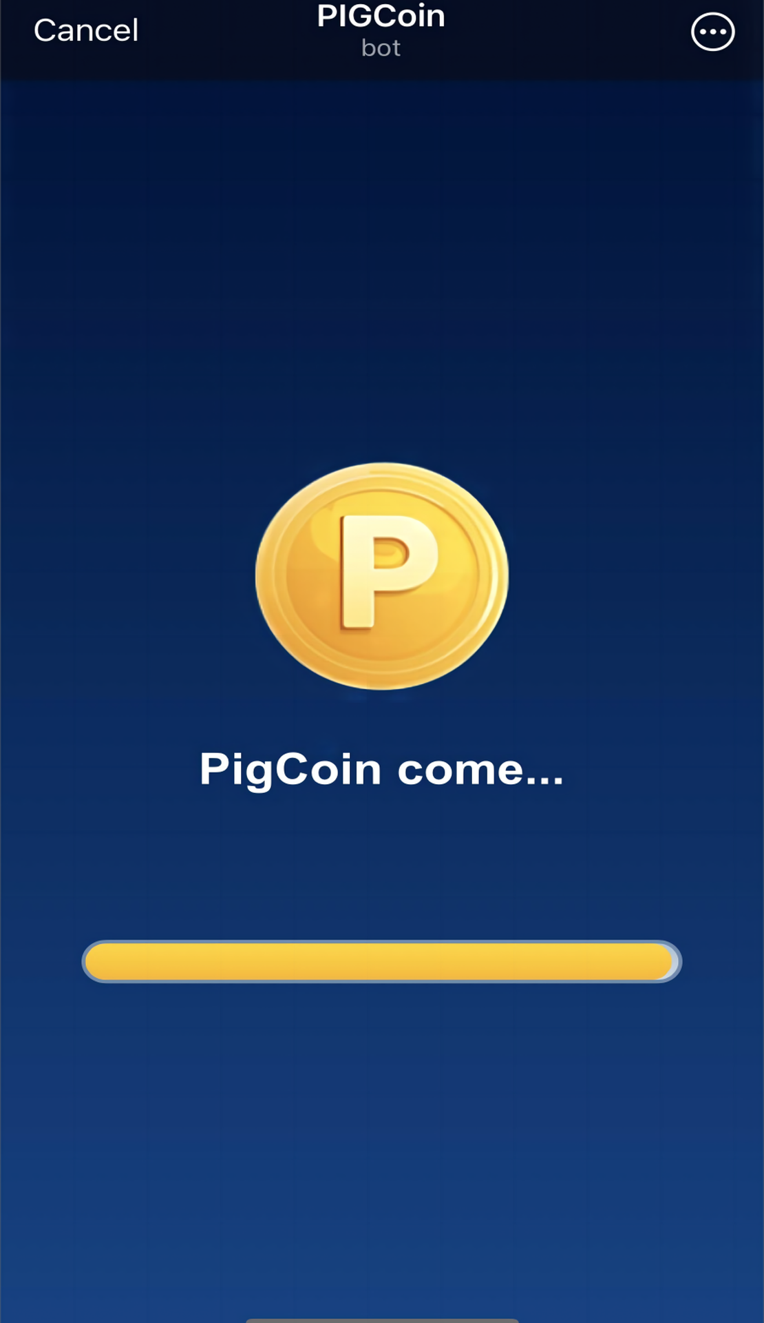 PIGCoin App Image