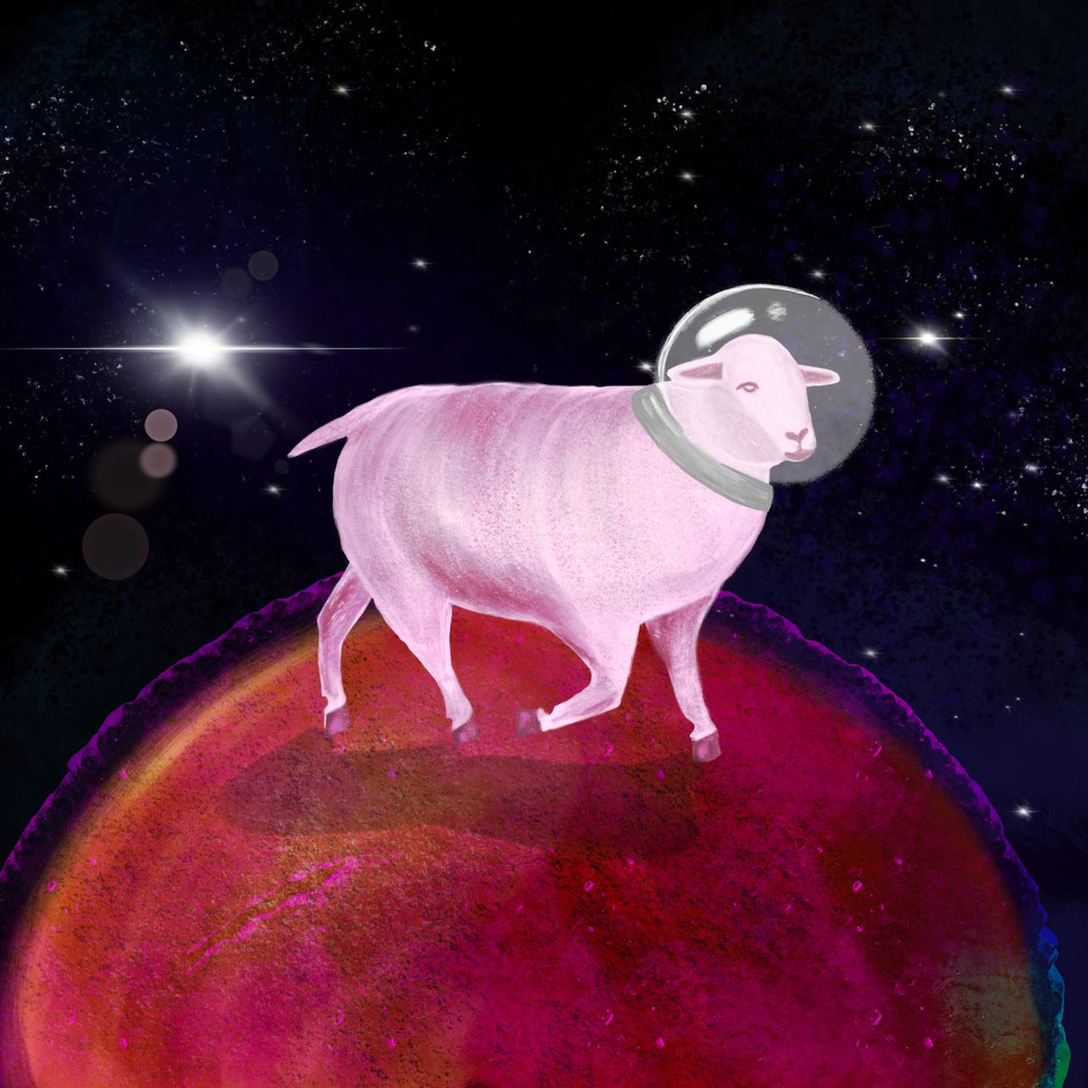 SPACEDISCOSHEEP App Logo