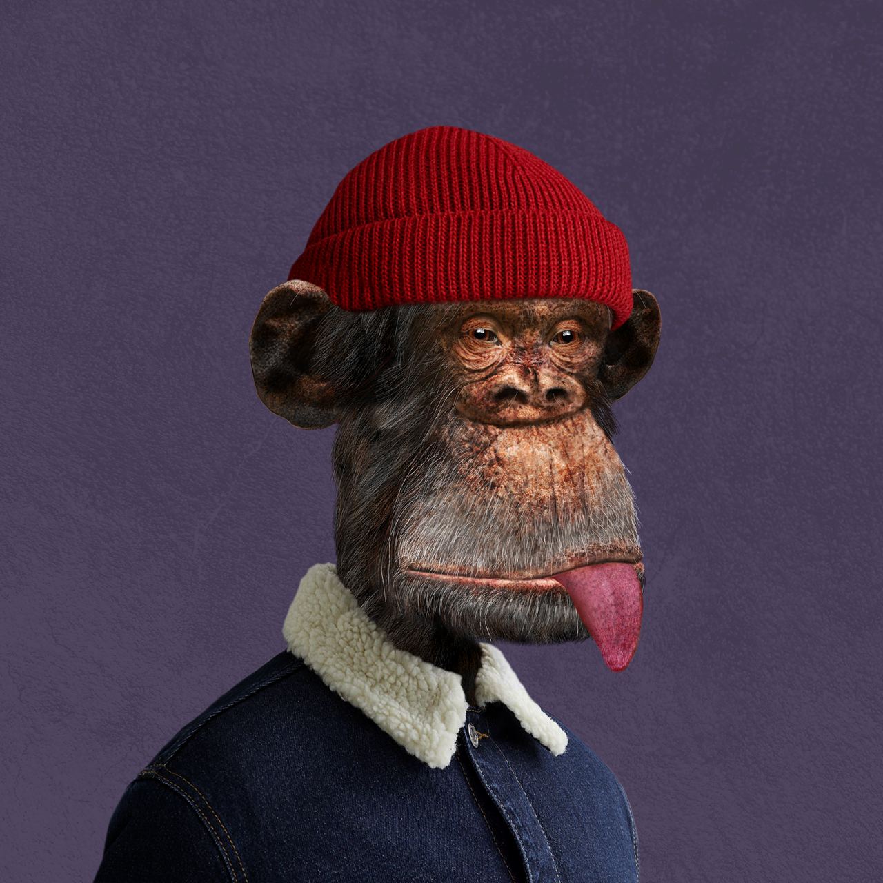 TON Bored Ape App Image