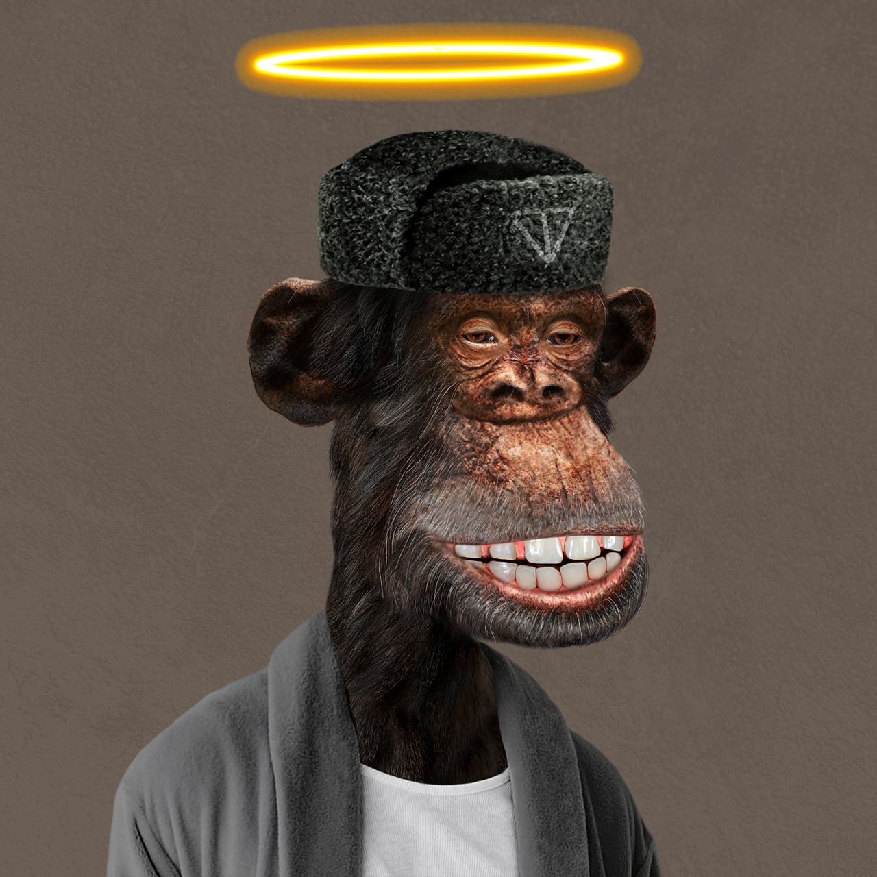 TON Bored Ape App Image