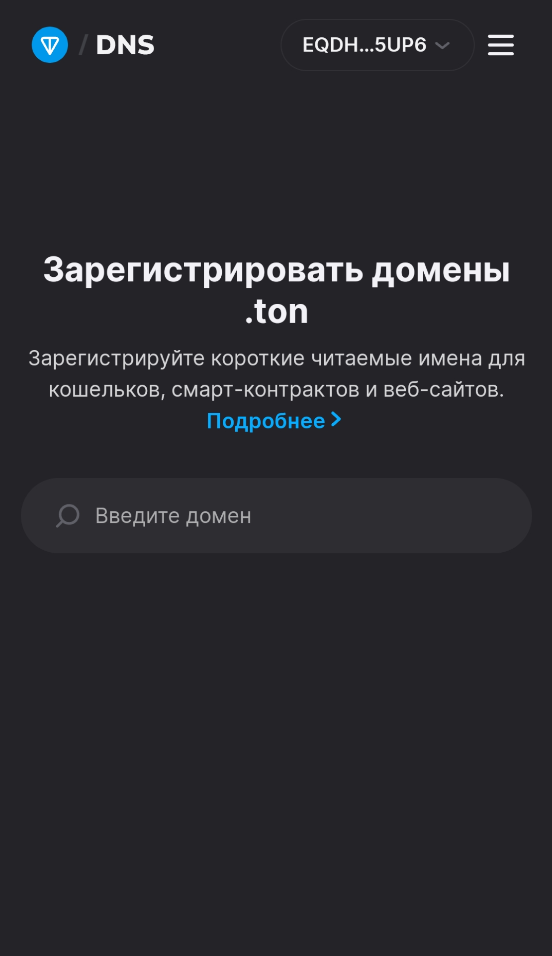 TON Domains App Image