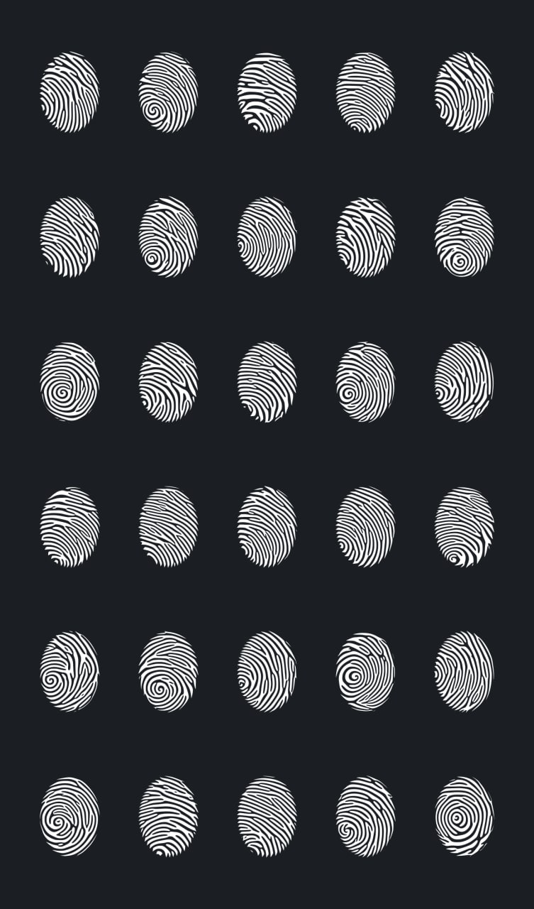 TON Fingerprints App Image