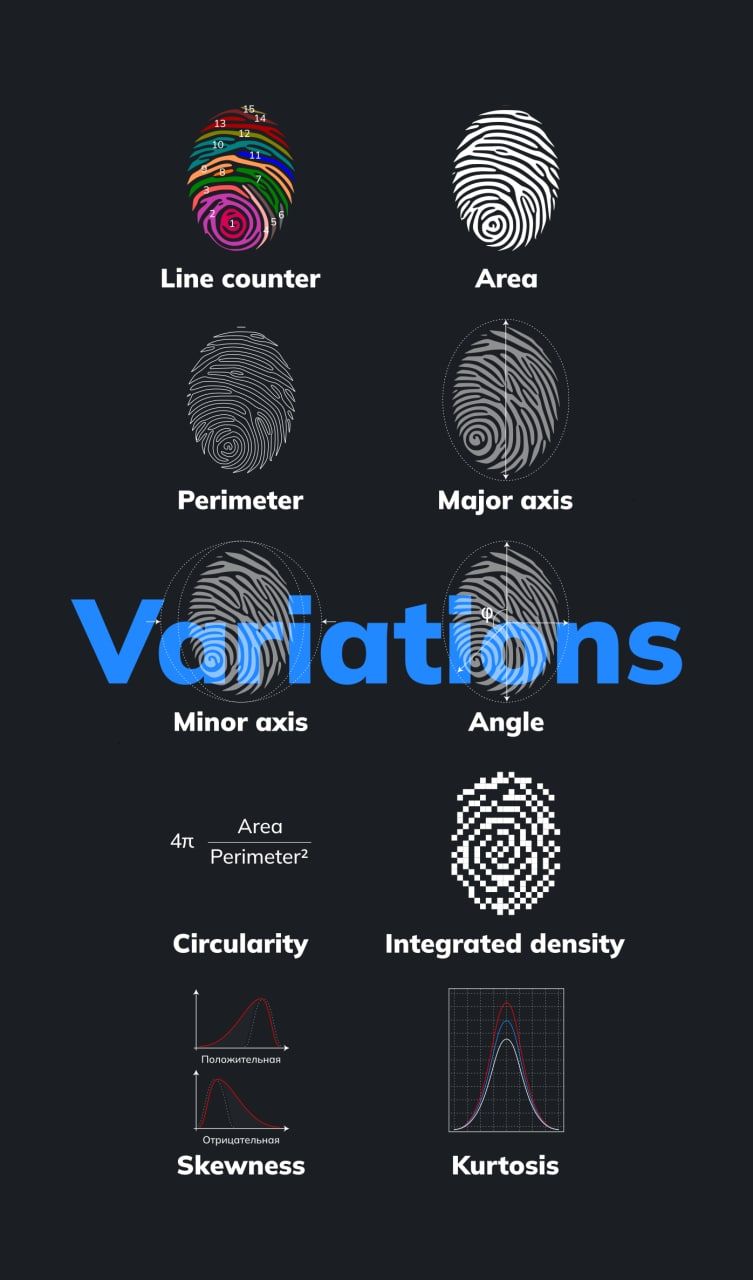 TON Fingerprints App Image