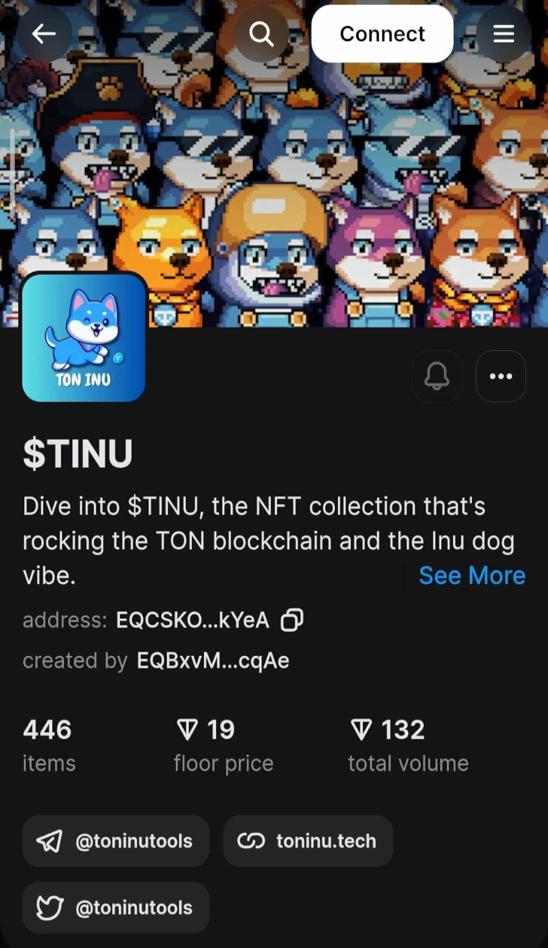 Ton INU $TINU NFT App Image
