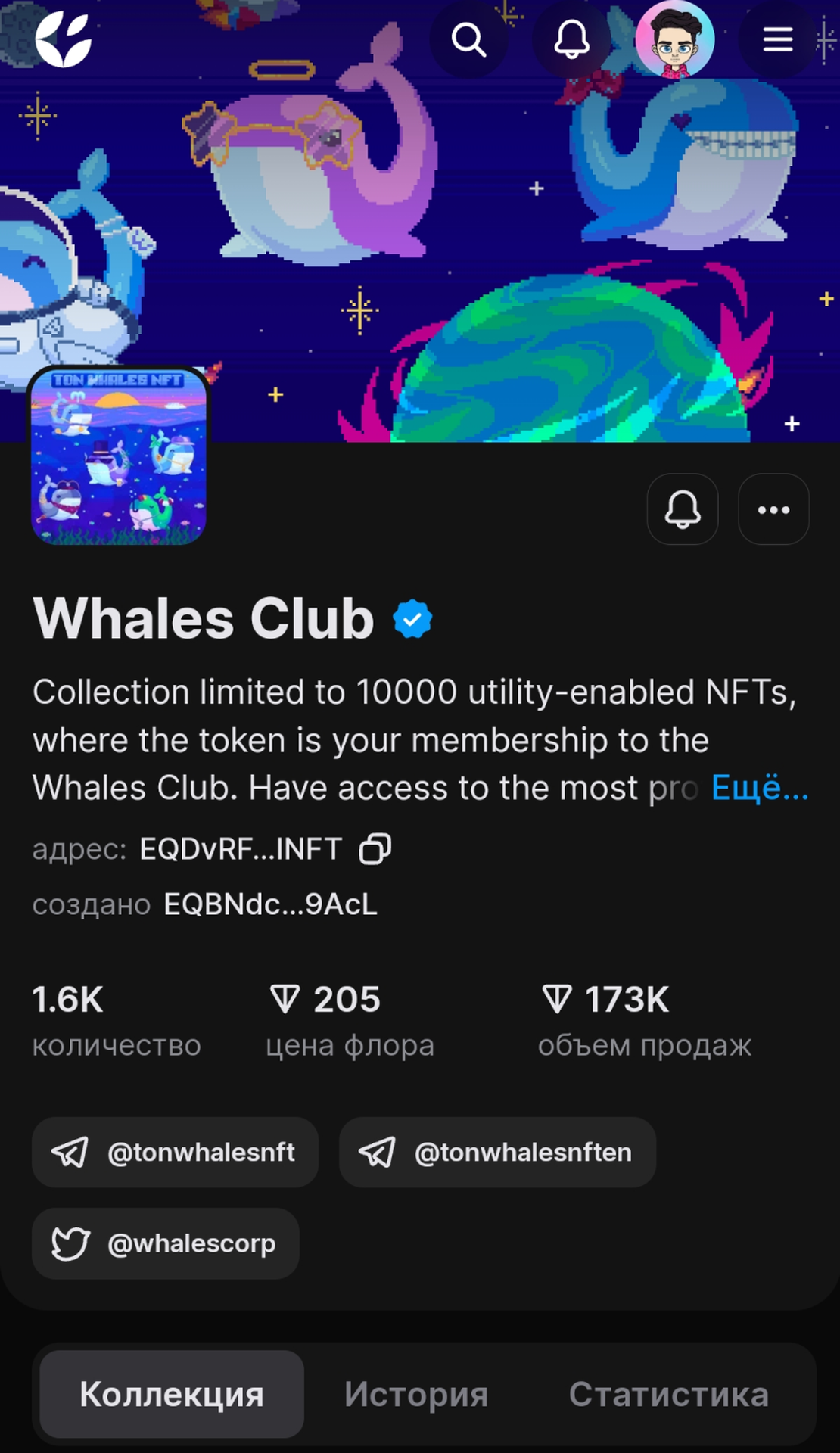 Whales Club App Image