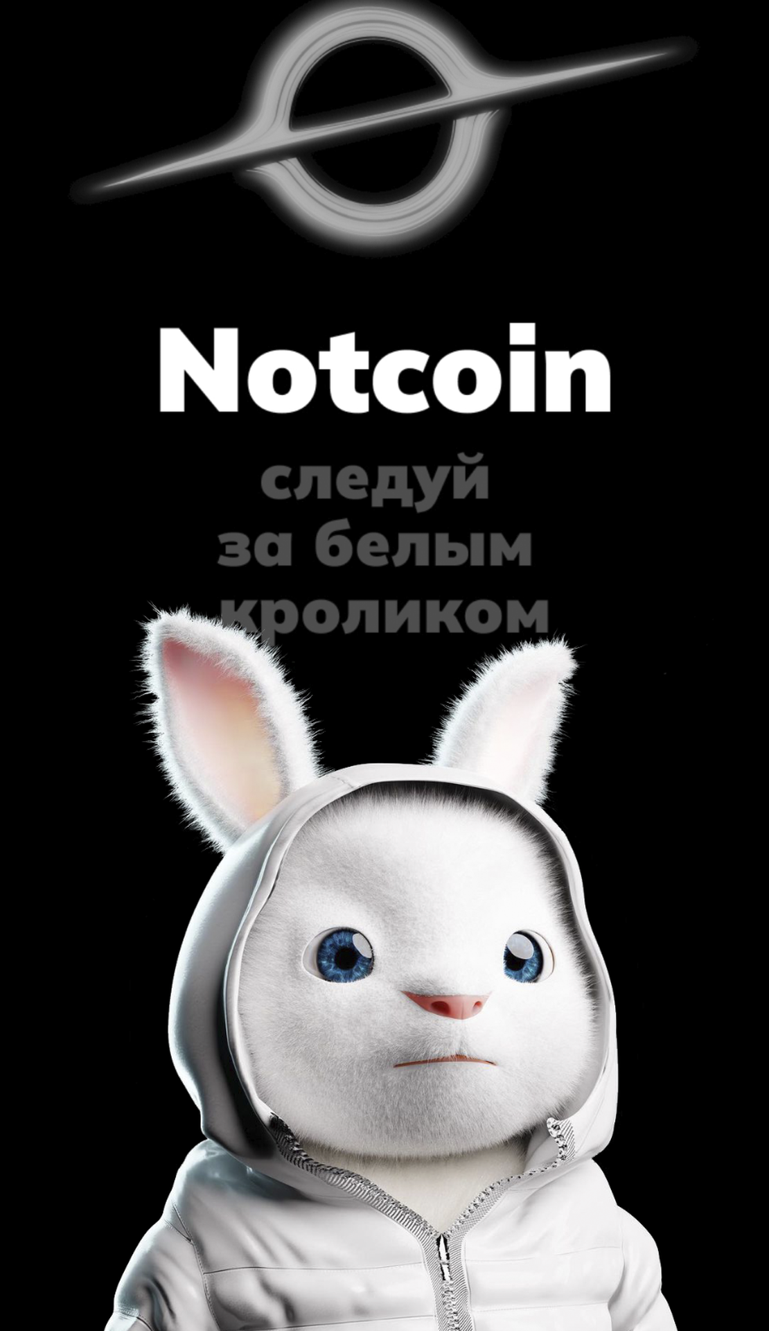 White Rabbit TON App Image