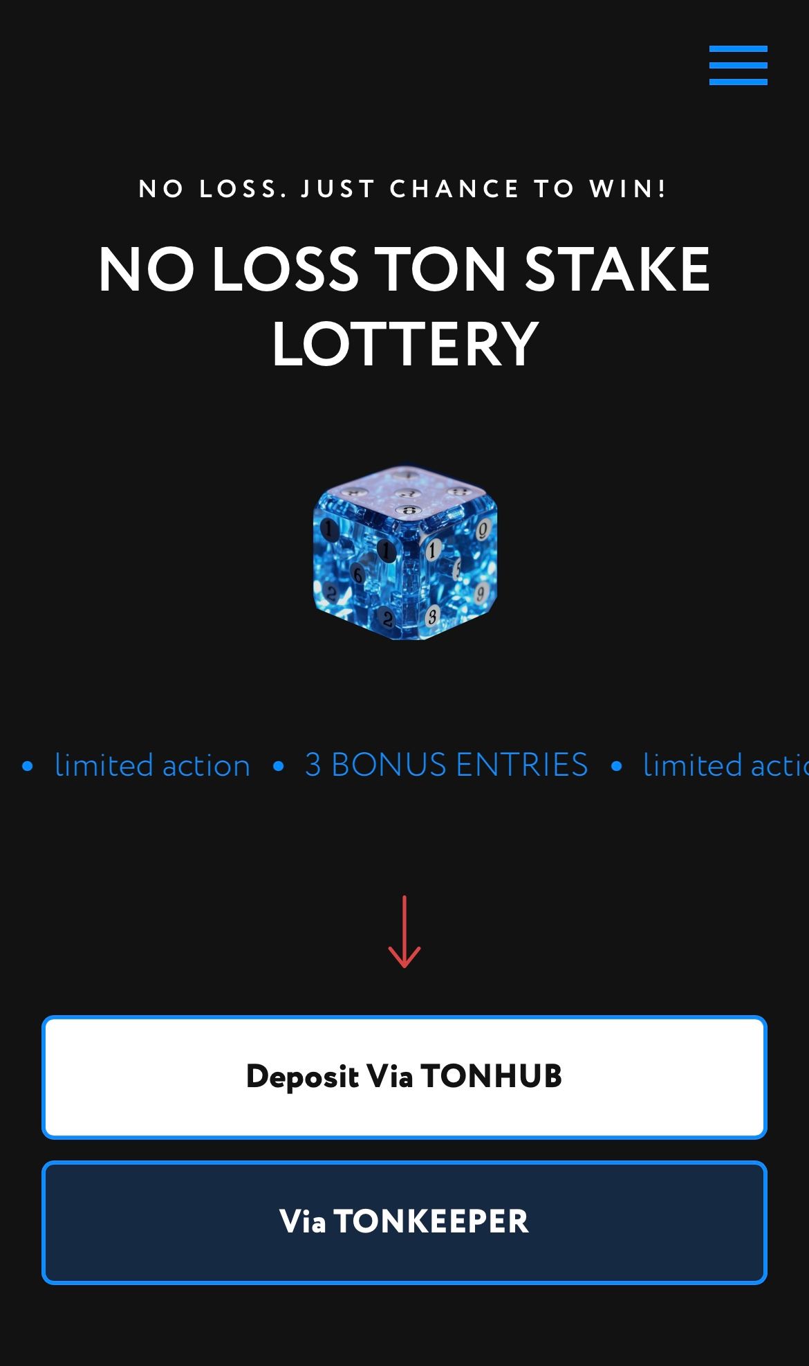 Ton Stake Lottery App Image