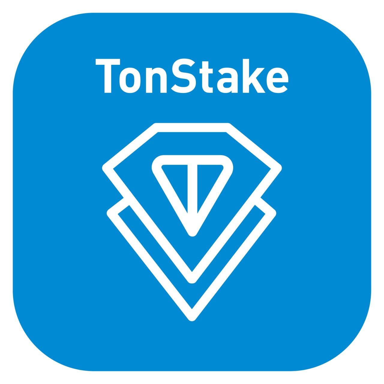 TonStake.com App Logo