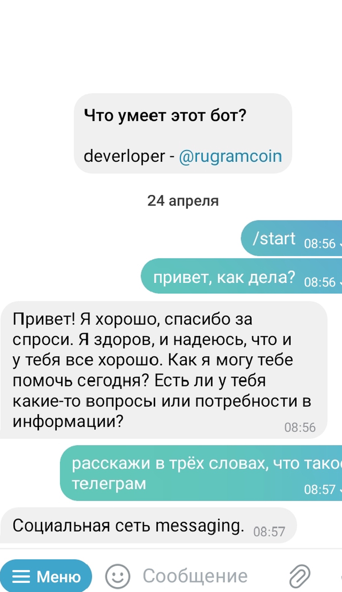 RuWalletGPT App Image