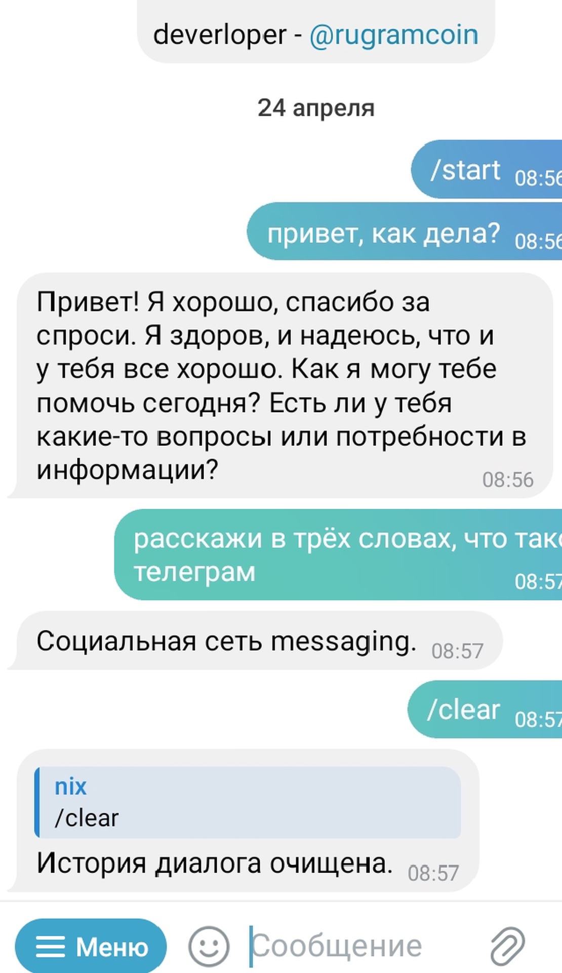 RuWalletGPT App Image