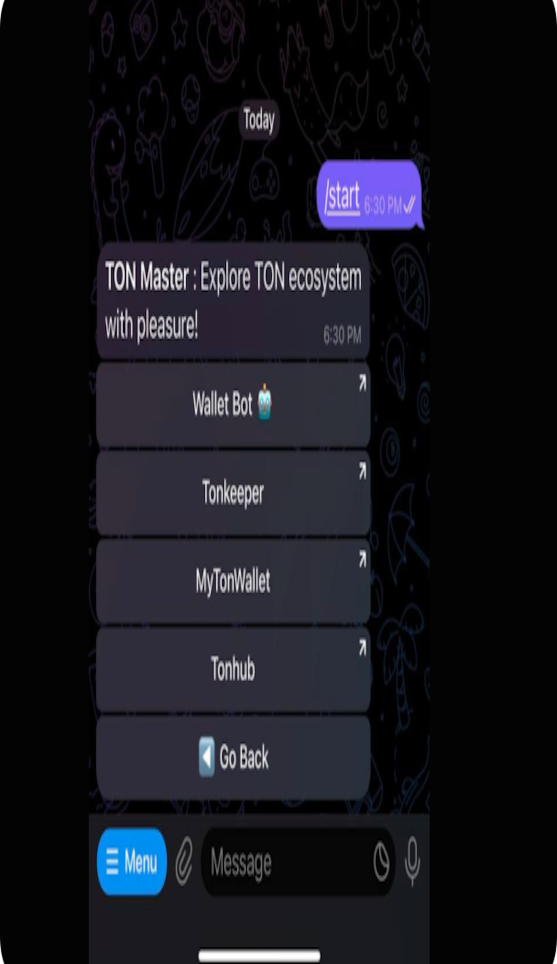 TON Master Bot App Image