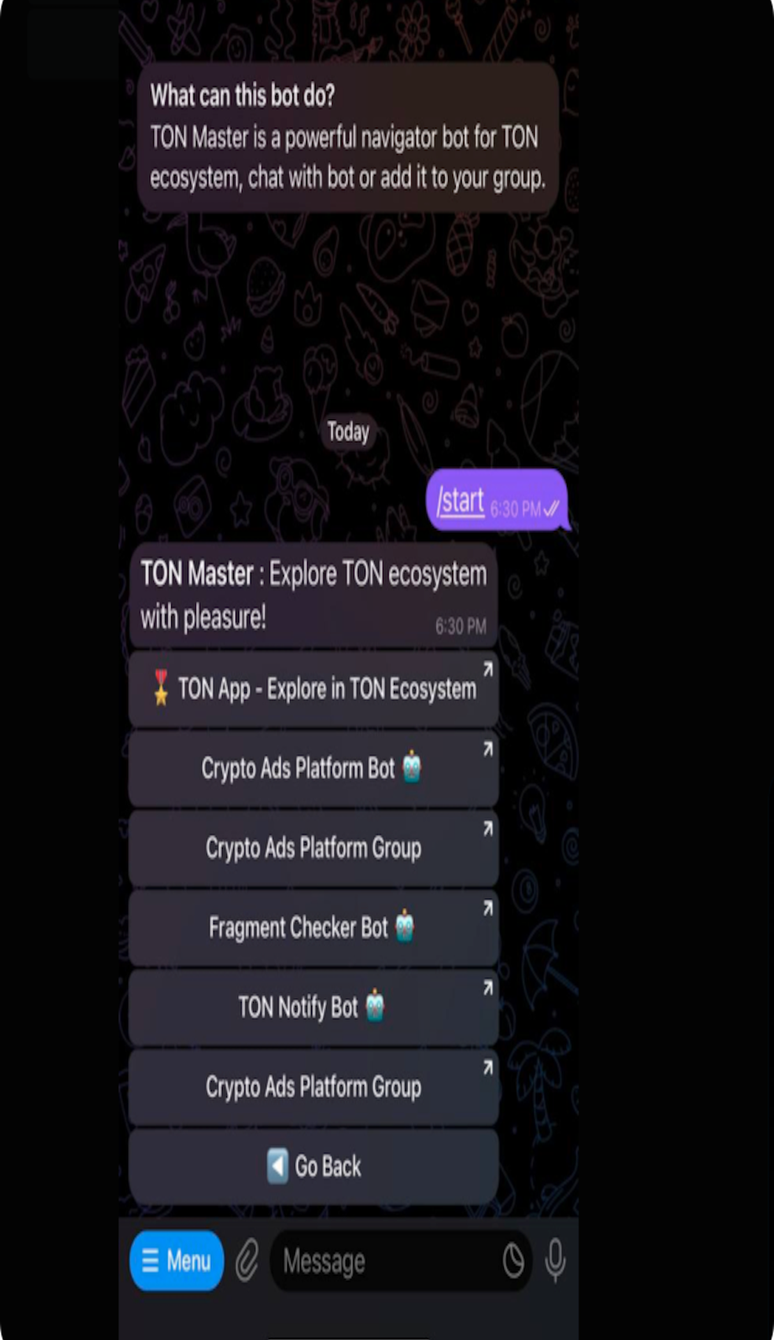 TON Master Bot App Image