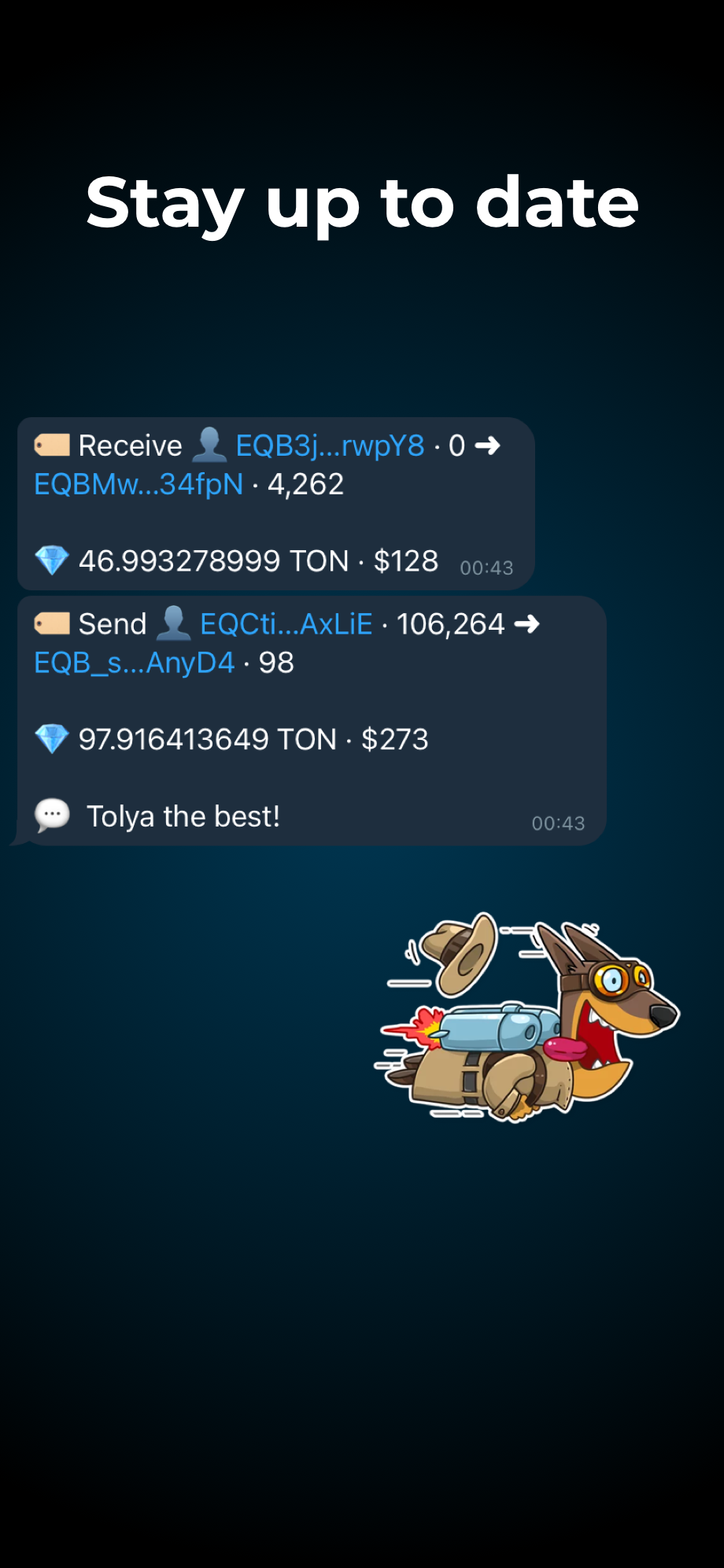 TON Notify Bot App Image