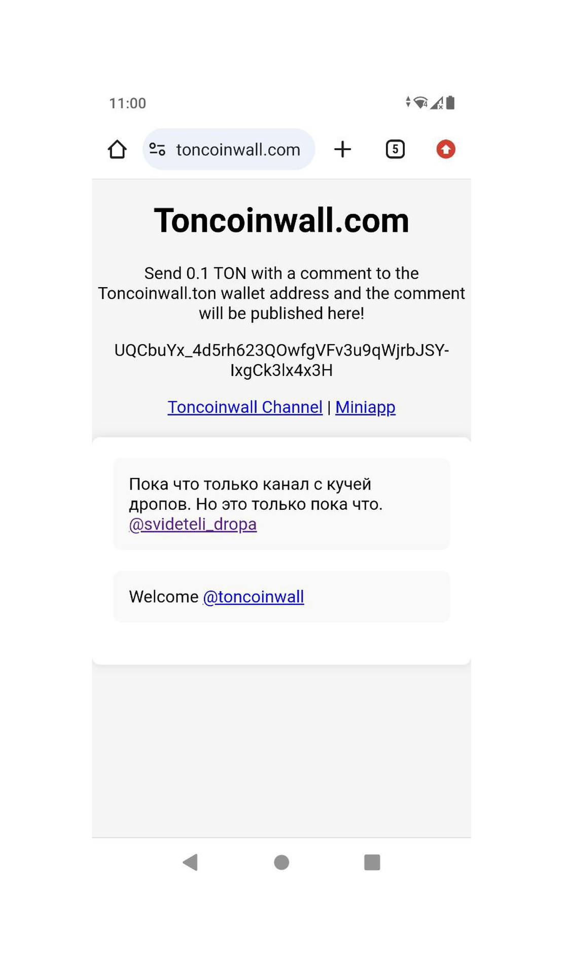 Toncoinwall.com App Image