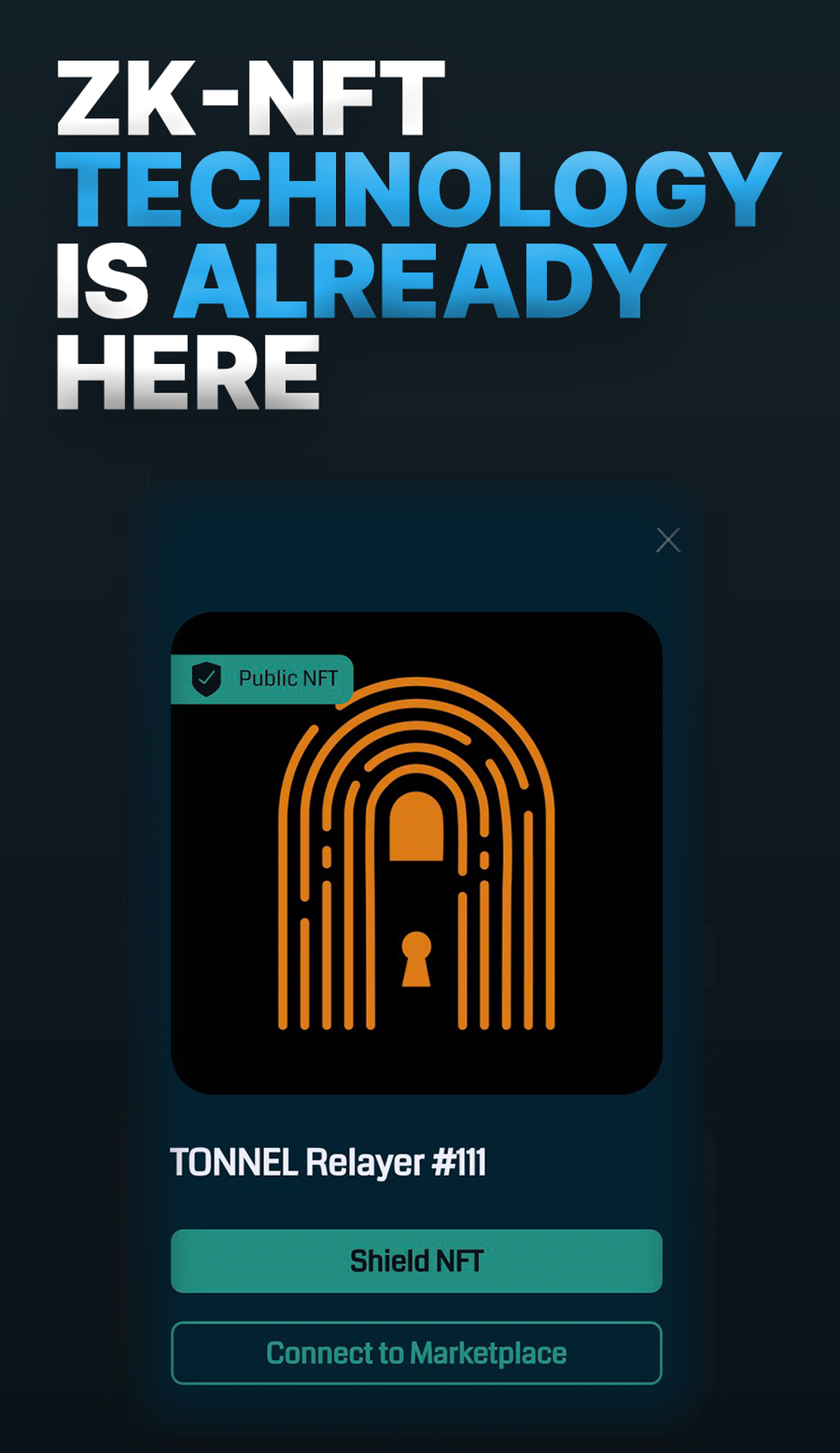 Tonnel Network App Image