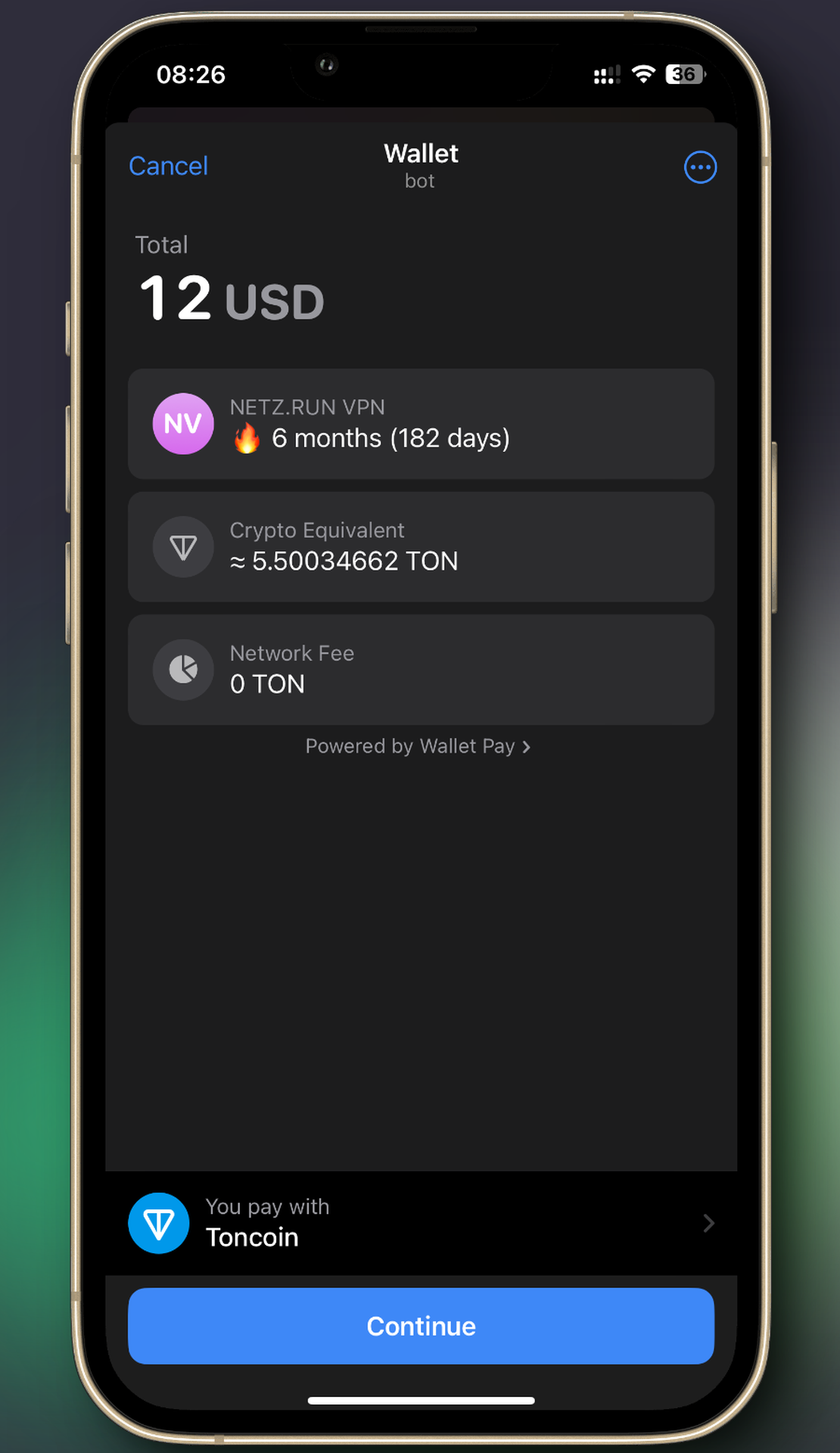 NETZ.RUN VPN App Image