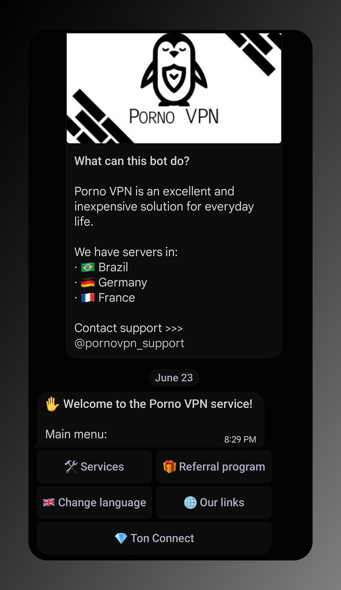 Porno VPN Bot App Image