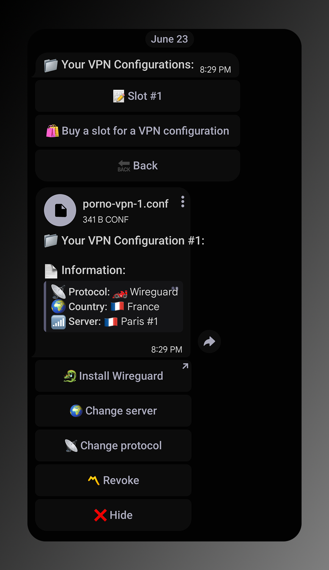Porno VPN Bot App Image
