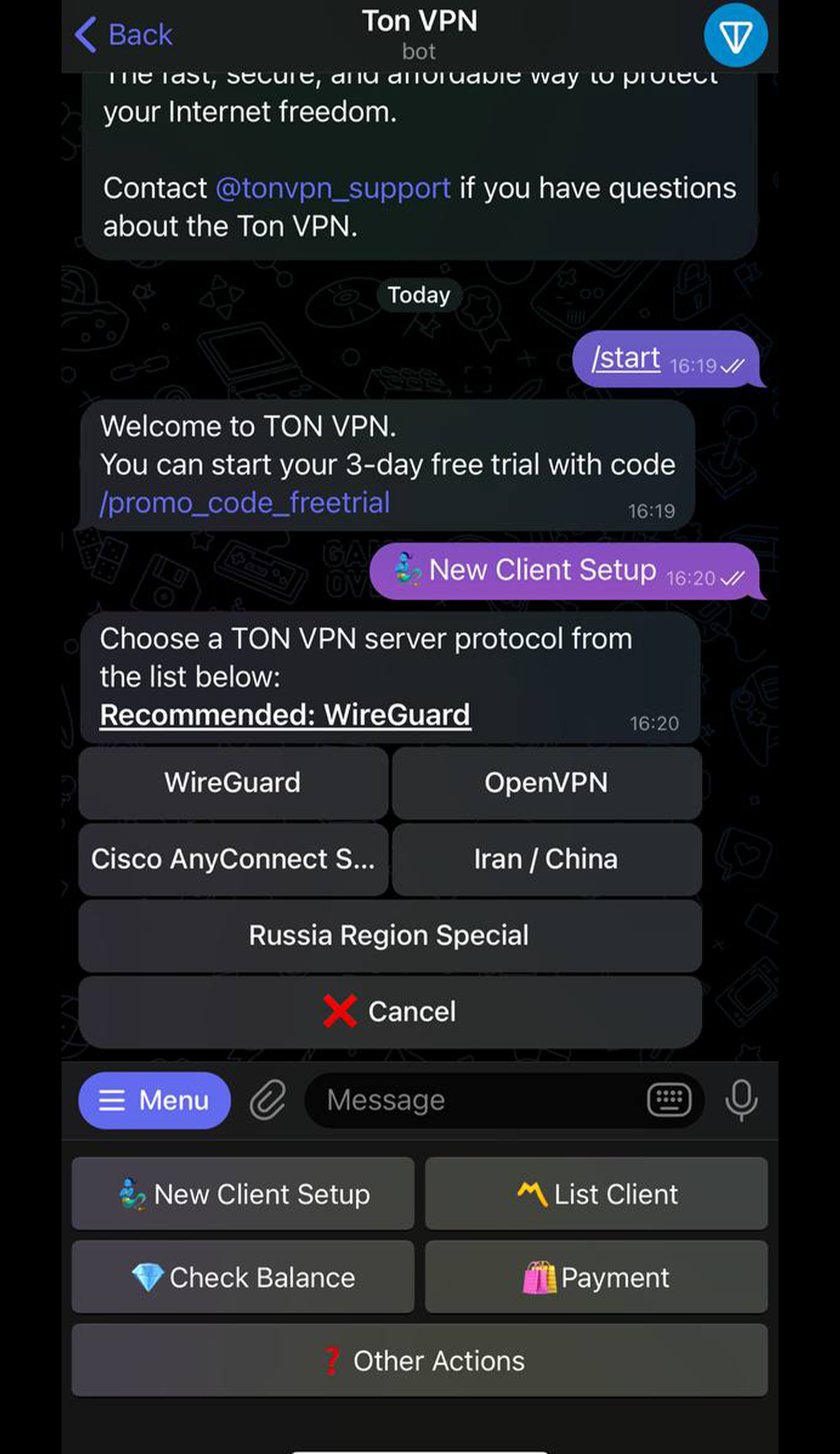 Ton VPN App Image