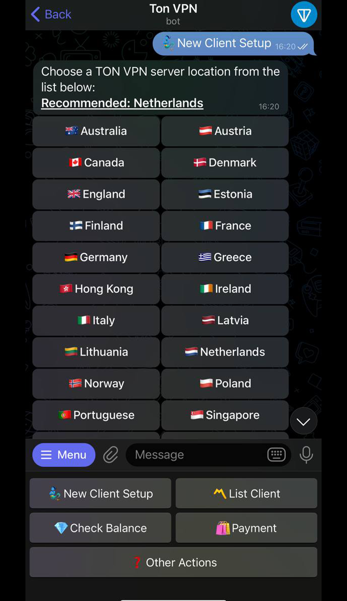 Ton VPN App Image